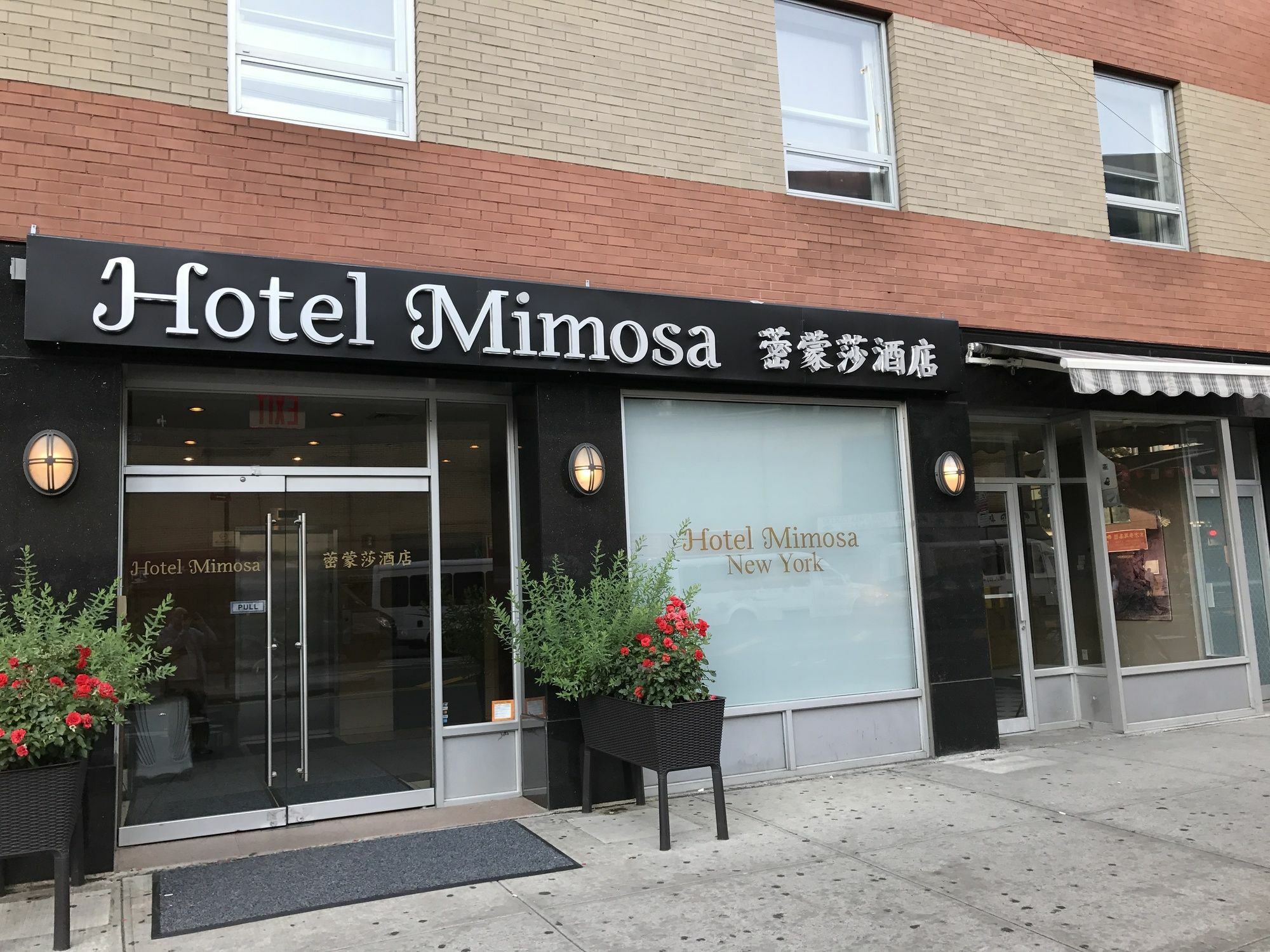 ניו יורק Hotel Mimosa מראה חיצוני תמונה
