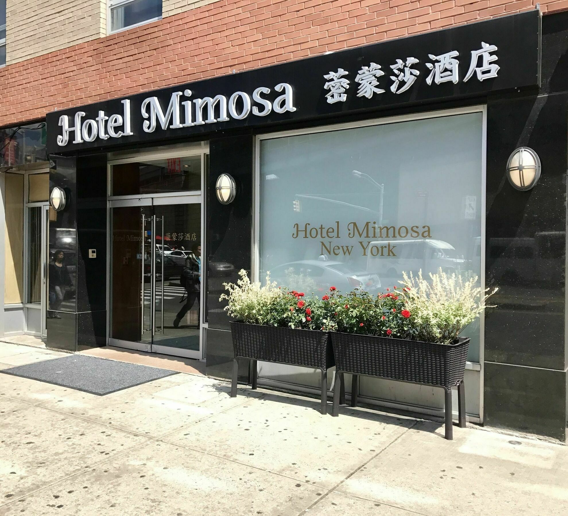 ניו יורק Hotel Mimosa מראה חיצוני תמונה